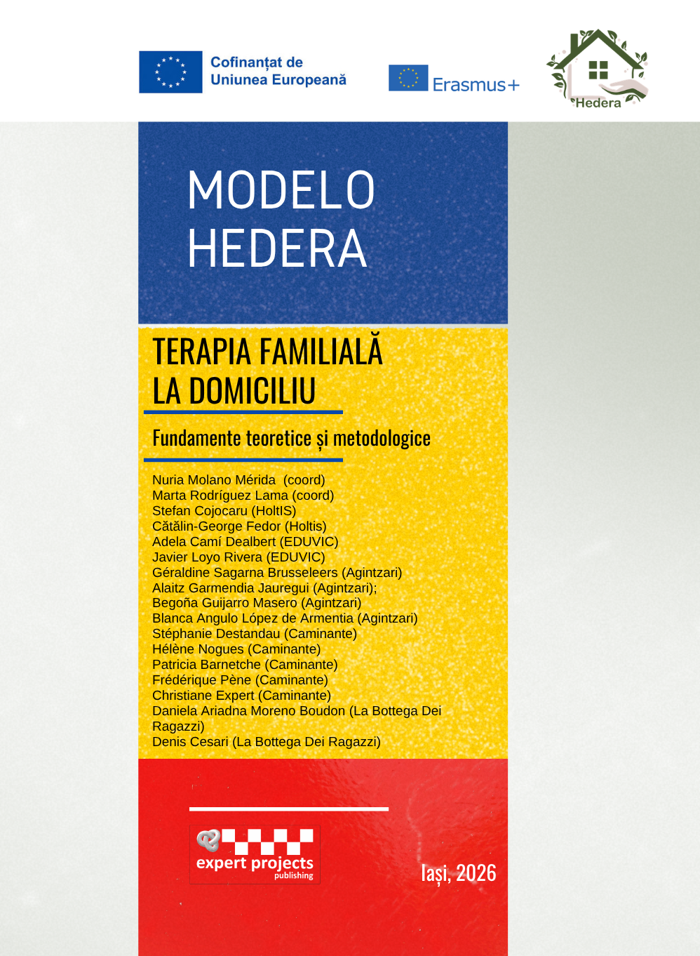 Ghiduri pentru profesioniști